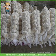 5,5 cm Prix Fresh Fresh White Garlic